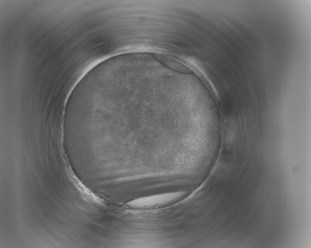 X0000078301244200611172140