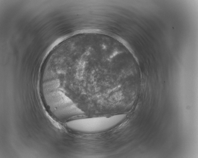 X0000078301245200611172140