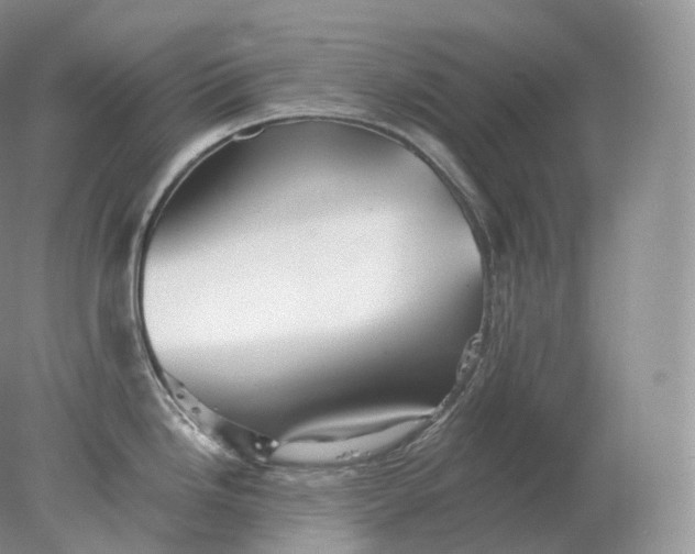 X0000078301246200611172140