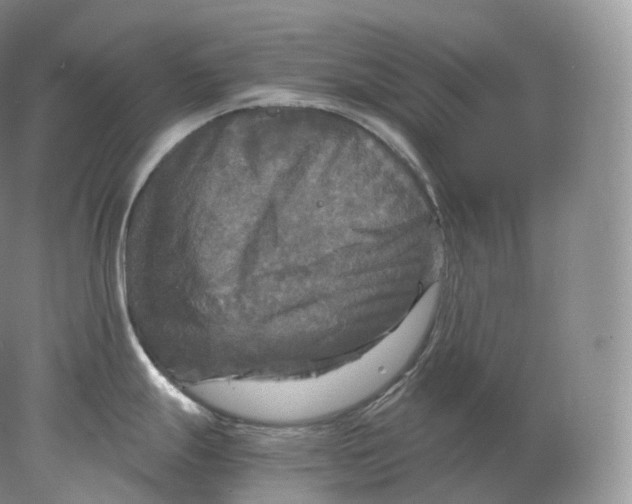 X0000078301247200611172140