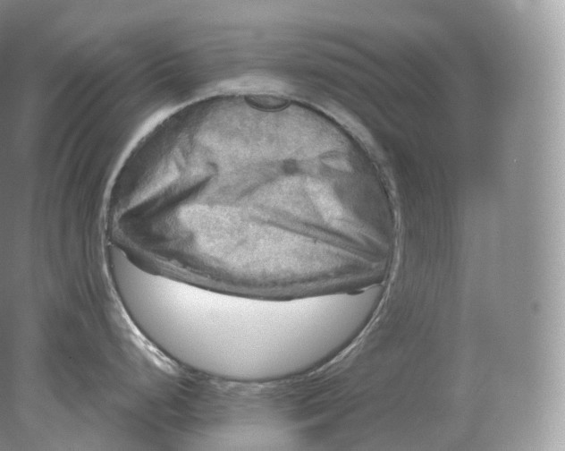 X0000078301248200611172140