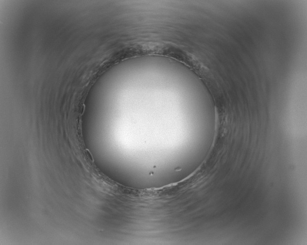 X0000078301249200611172139