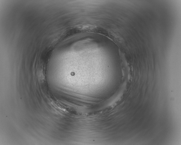 X0000078301250200611172139