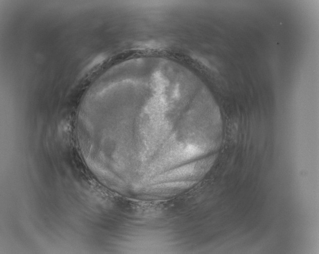 X0000078301254200611172139