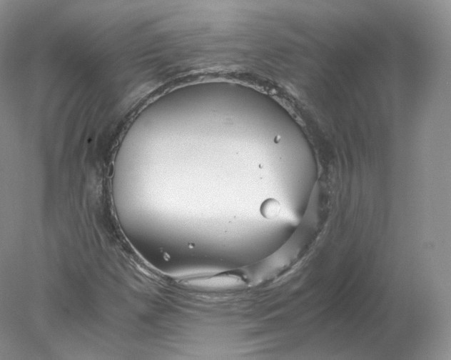 X0000078301257200611172139