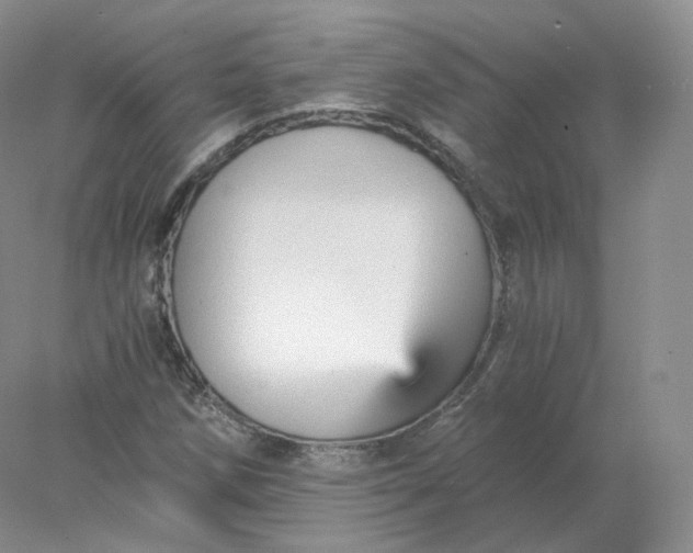 X0000078301258200611172139