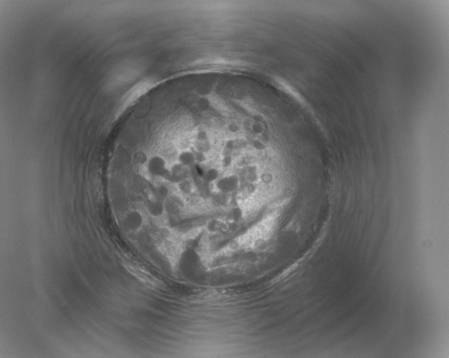 X0000078301259200611172139