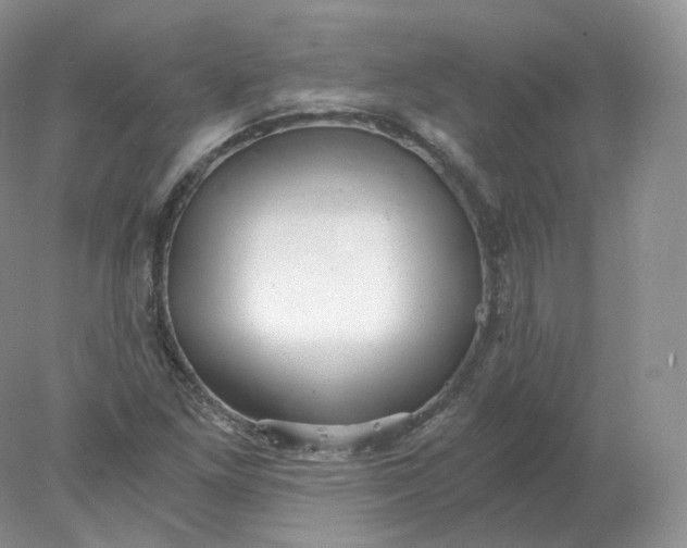 X0000078301261200611172139