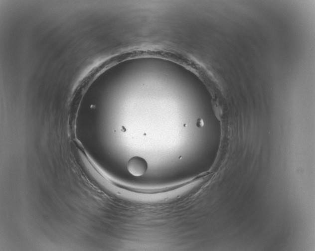 X0000078301262200611172139