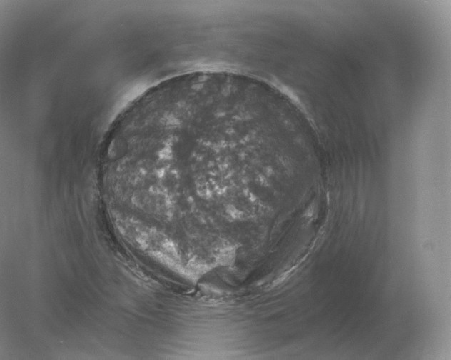 X0000078301263200611172139