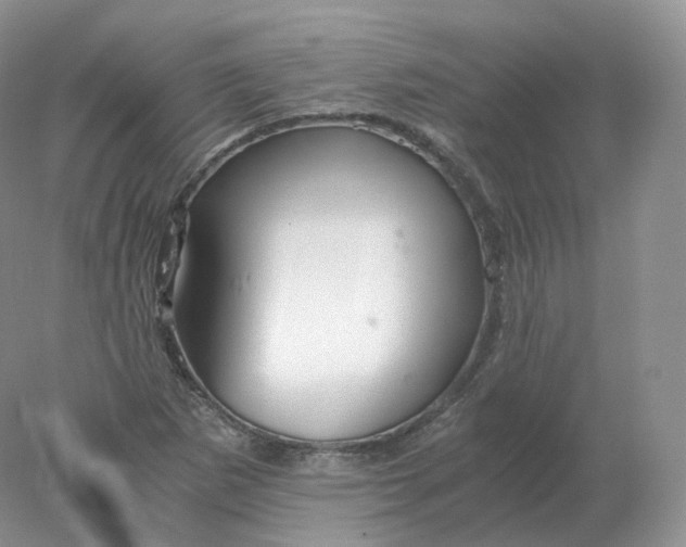 X0000078301265200611172139