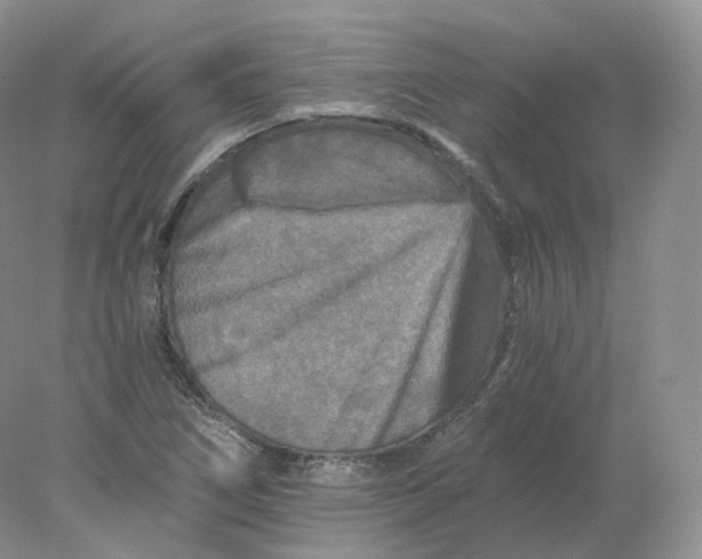 X0000078301266200611172139