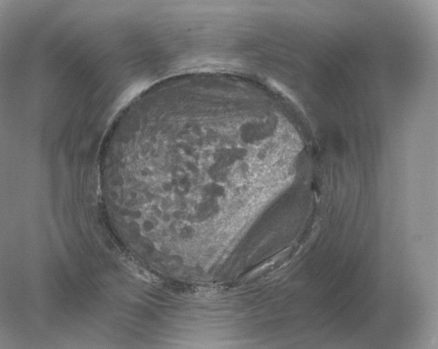 X0000078301267200611172139