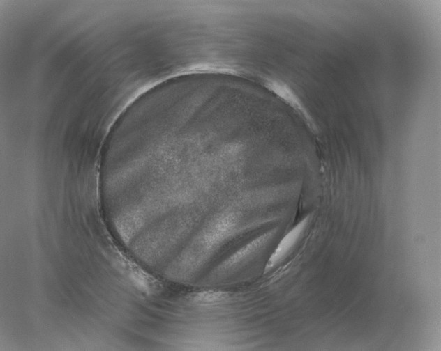 X0000078301268200611172139