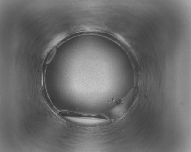 X0000078301269200611172139