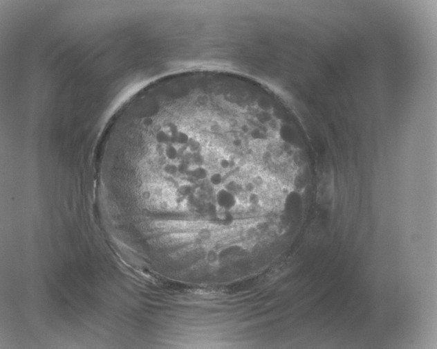 X0000078301271200611172139