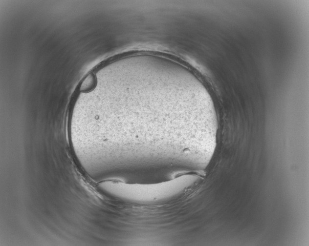 X0000078301272200611172139