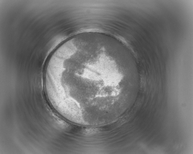 X0000078301274200611172139