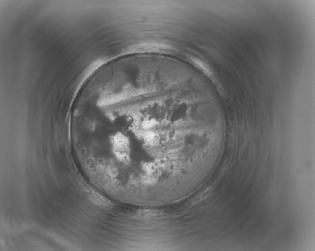 X0000078301275200611172139