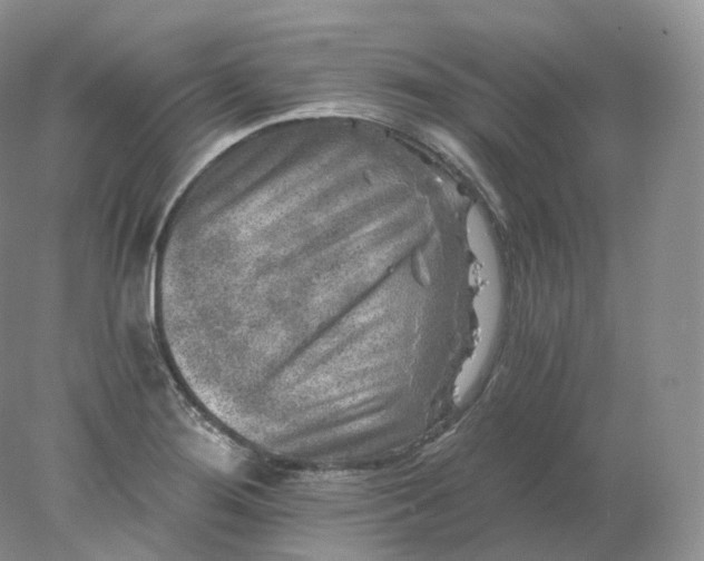 X0000078301276200611172139