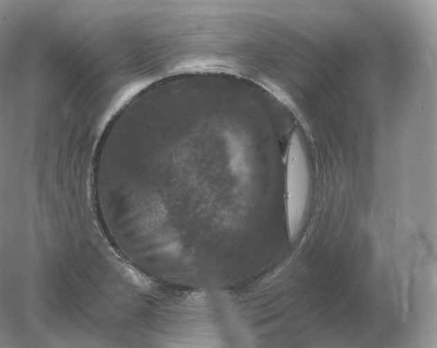 X0000078301277200611172139