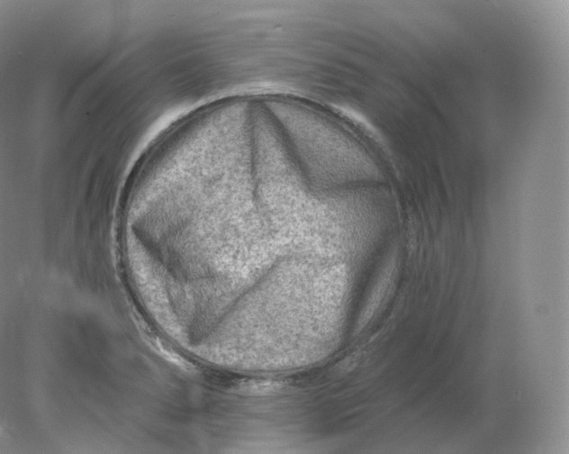 X0000078301278200611172139