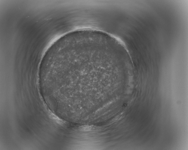 X0000078301279200611172139