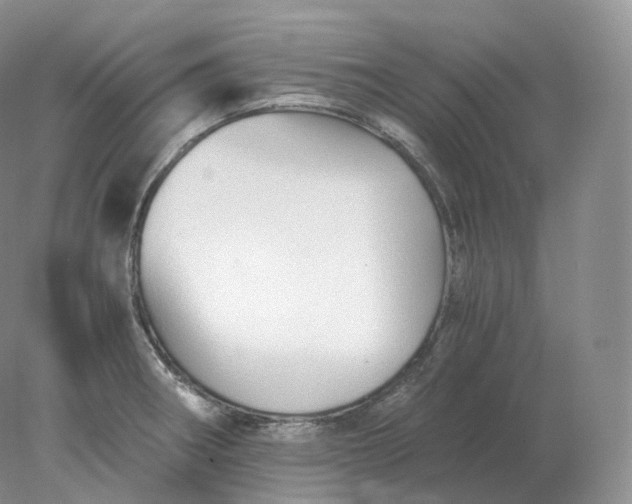 X0000078301282200611172139