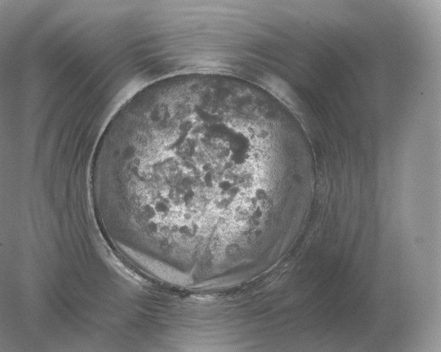 X0000078301283200611172139