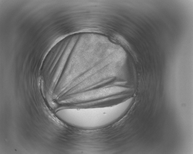 X0000078301284200611172139