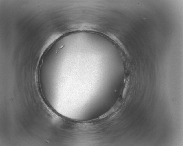 X0000078301285200611172139