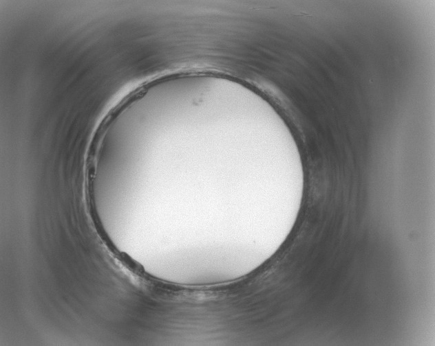 X0000078301286200611172139