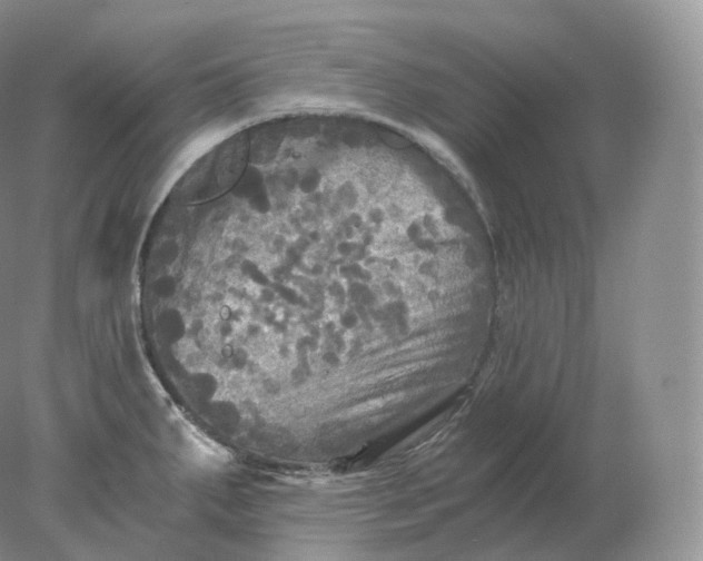 X0000078301287200611172139