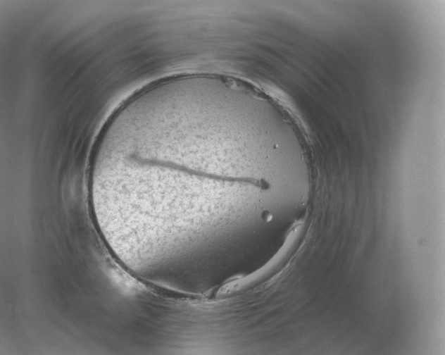 X0000078301288200611172138