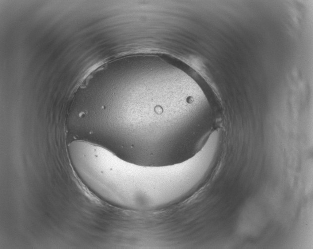 X0000078301289200611172138