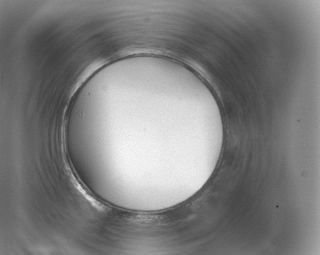 X0000078301290200611172138