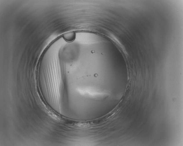 X0000078301291200611172138