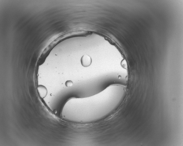 X0000078301293200611172138