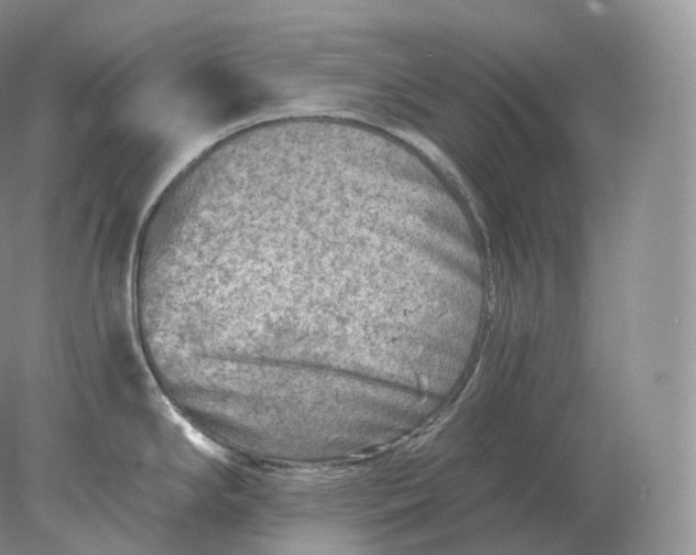 X0000078301294200611172138