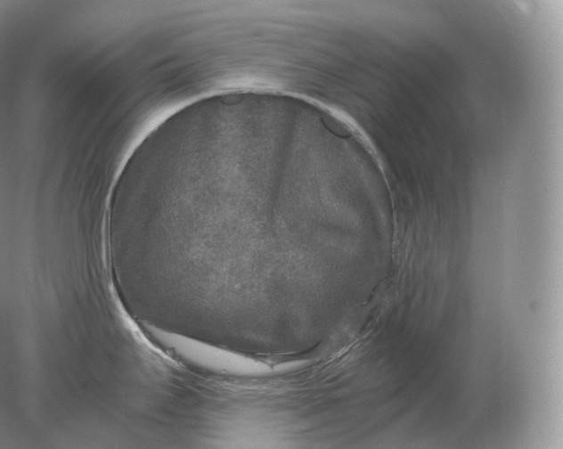 X0000078301295200611172138