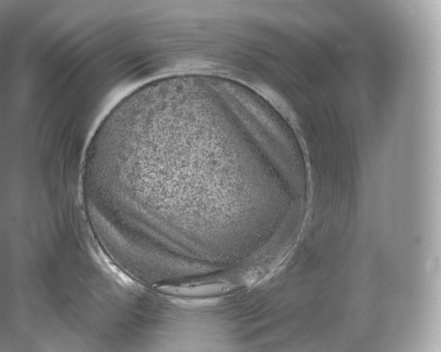 X0000078301296200611172138