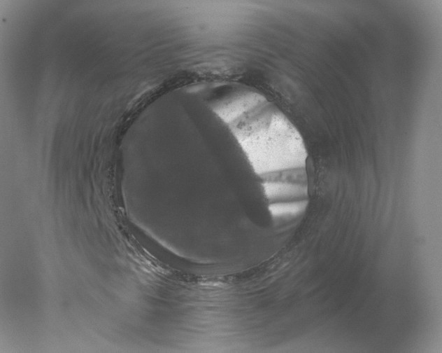 X0000078301297200611172138