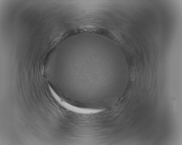 X0000078301298200611172138