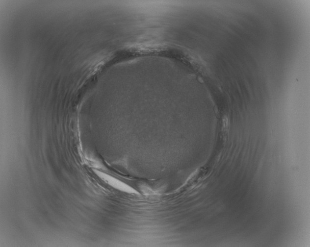 X0000078301300200611172138