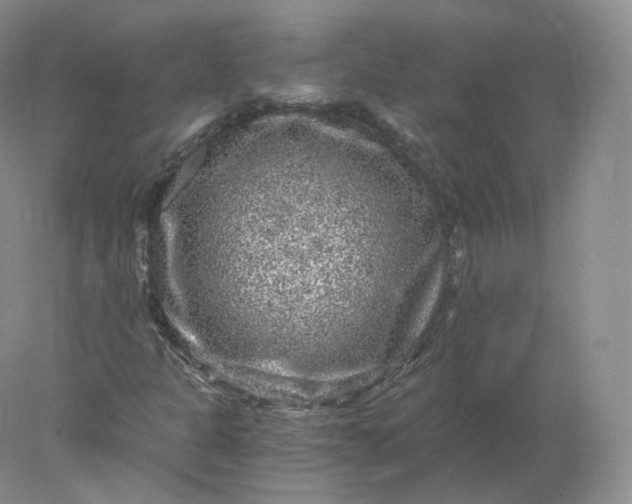 X0000078301301200611172138