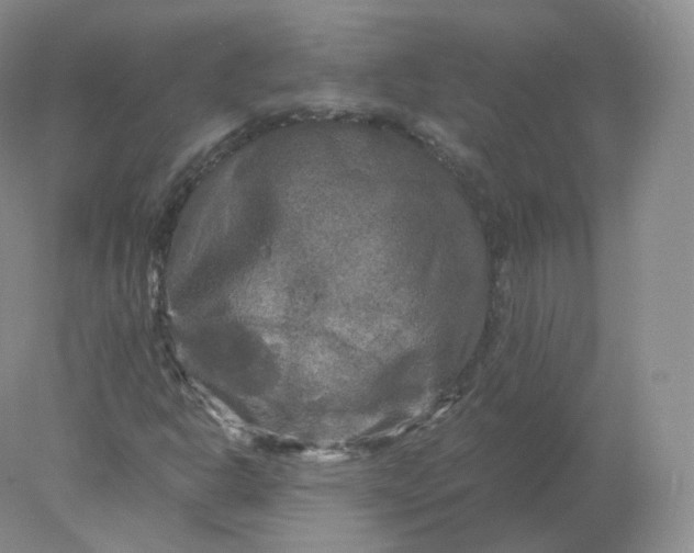 X0000078301302200611172138