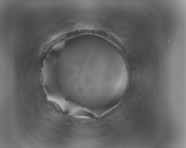 X0000078301303200611172138