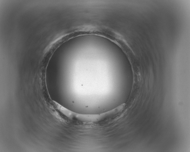 X0000078301304200611172138