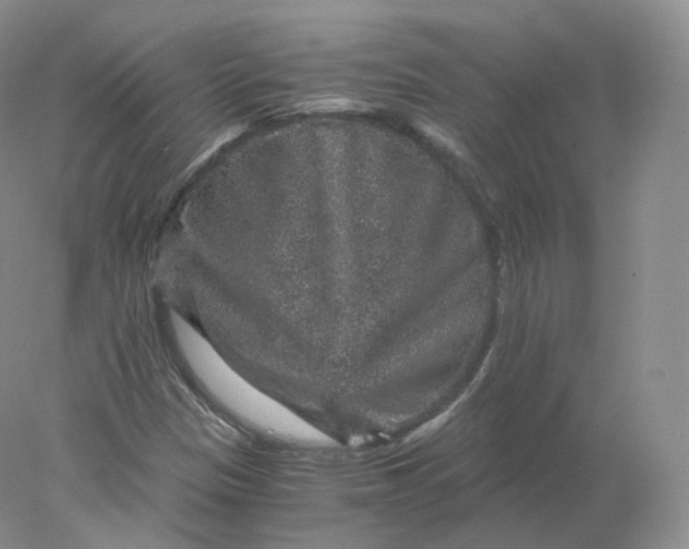 X0000078301305200611172138