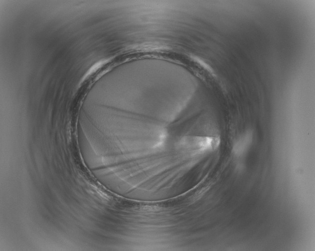 X0000078301306200611172138